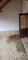 13679:29 - Bungalow type house with local heating 9 km from Kavarna
