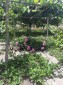 13818:4 - One-story house in the village of Ovcharovo 35 km from Balchik