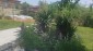13834:30 - Renovated Bulgarian House ready to move in 9 km to Elhovo 