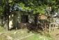 13847:39 - Bulgarian properties 55 km from Vratsa and 300 meters from river