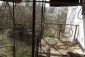 10617:6 - Bulgarian house in Vratsa region near natural mineral springs