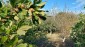 13863:11 - CHEAP  house in the village of Orlova Mogila , Dobrich