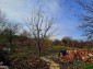 13892:3 - New offer  rural property in the village of Gorun, Shabla