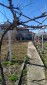 13895:7 - New offer! A house in the village of Durankulak!