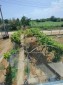 13947:3 - TOP OFFER! PROPERTY for sale  23km from BALCHIK