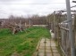 14028:17 - Bulgarian property for sale in good condition 10km from Topolovg