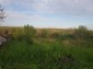 14040:31 - Rural Bulgarian property 46 km from Stara Zagora with big garden
