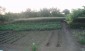 14058:3 -  BULGARIAN  Property near DURANKULAK ONLY 4 km from the sea