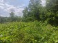 14134:6 -  Bulgarian property 9 km to the sea-Kavarna 
