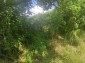 14134:8 -  Bulgarian property 9 km to the sea-Kavarna 