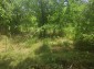 14134:9 -  Bulgarian property 9 km to the sea-Kavarna 