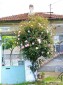 14189:19 - A wonderful vacation property 20 km from the sea coast