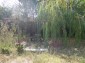 14324:17 - Furnished house with a garage ,a summer  kitchen 5km to Bolyarov