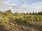 14432:8 - Country house with a large yard 20 km from Durankulak