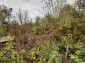 14576:34 - Cheap Bulgarian property near river, 20km from Danube, Vratsa