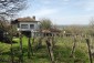 14591:7 - House with big plot and distant views of the Danube river