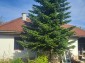 14601:7 - Bungalow type house with a large covered porch,Dobrich region