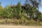 14664:8 - An old house with big plot of land 15km from Montana