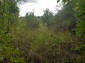 14706:9 - Cheap House project plot of land in Konak village Popovo area