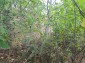 14706:13 - Cheap House project plot of land in Konak village Popovo area