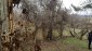 14730:18 - Brick built rural Bulgarian property for sale in Konak, Popovo