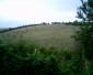 15215:6 - Cheap Bulgarian house in Tsar Asen Popovo Targovishte region