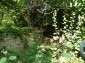 15546:7 - Cheap Bulgarian property for sale in Konak Popovo close to lake
