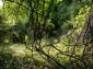 15546:26 - Cheap Bulgarian property for sale in Konak Popovo close to lake