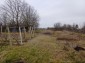 15576:14 - Beautiful rural property in a village near Dobrich