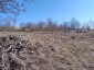 15583:3 - Large plot of ​​land 10 km from Danube River