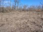 15583:4 - Large plot of ​​land 10 km from Danube River
