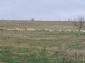 15586:12 - Cheap Bulgarian house with lovely views