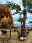 15622:7 - Charming Family Home Near Balchik and Golf Resorts