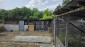 15640:123 - Attractive Bulgarian property with 4 bedrooms big garden Pleven