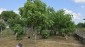 15640:134 - Attractive Bulgarian property with 4 bedrooms big garden Pleven