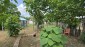 15640:135 - Attractive Bulgarian property with 4 bedrooms big garden Pleven