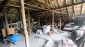 15643:3 - Property in a Village with Mineral Springs near Stara Zagora