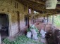 15654:18 - Rural 3-Bedroom House,5km from river Danube