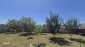 15679:26 - Cozy Home Just 7 km from the Coast