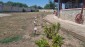 15715:8 - Charming Country Home Near the Sea 