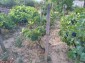 15749:7 - RENOVATED  HOUSE IN VERY GOOD CONDITION 500m from river