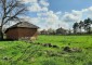 15753:52 - Country house with annex, barn and spacious yard situated in a q