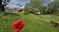15759:9 - Traditional Bulgarian house  marvelous views big garden