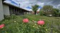15759:1 - Traditional Bulgarian house  marvelous views big garden