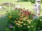 15759:31 - Traditional Bulgarian house  marvelous views big garden