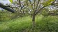 15759:86 - Traditional Bulgarian house  marvelous views big garden