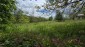15759:88 - Traditional Bulgarian house  marvelous views big garden