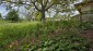 15759:89 - Traditional Bulgarian house  marvelous views big garden