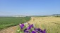 15759:93 - Traditional Bulgarian house  marvelous views big garden