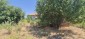 15765:5 - Cheap Bulgarian property for renovation 28 km from the sea 